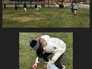 2023 green school app final (12)